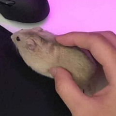 whyamilikethistomyself.wav