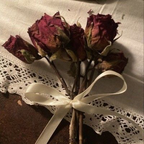 dove (doll ver) - antihoney [edit audio?]