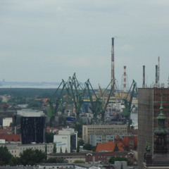 Bara_svamp