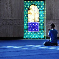 القارئ شريف مصطفى.