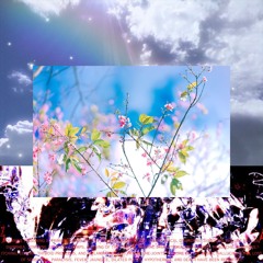 Solanum
