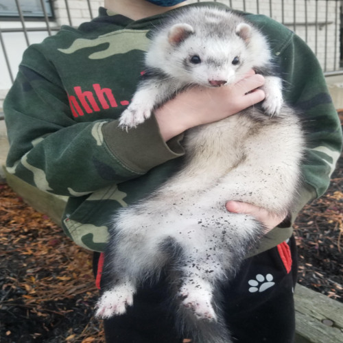 They don't listen all day