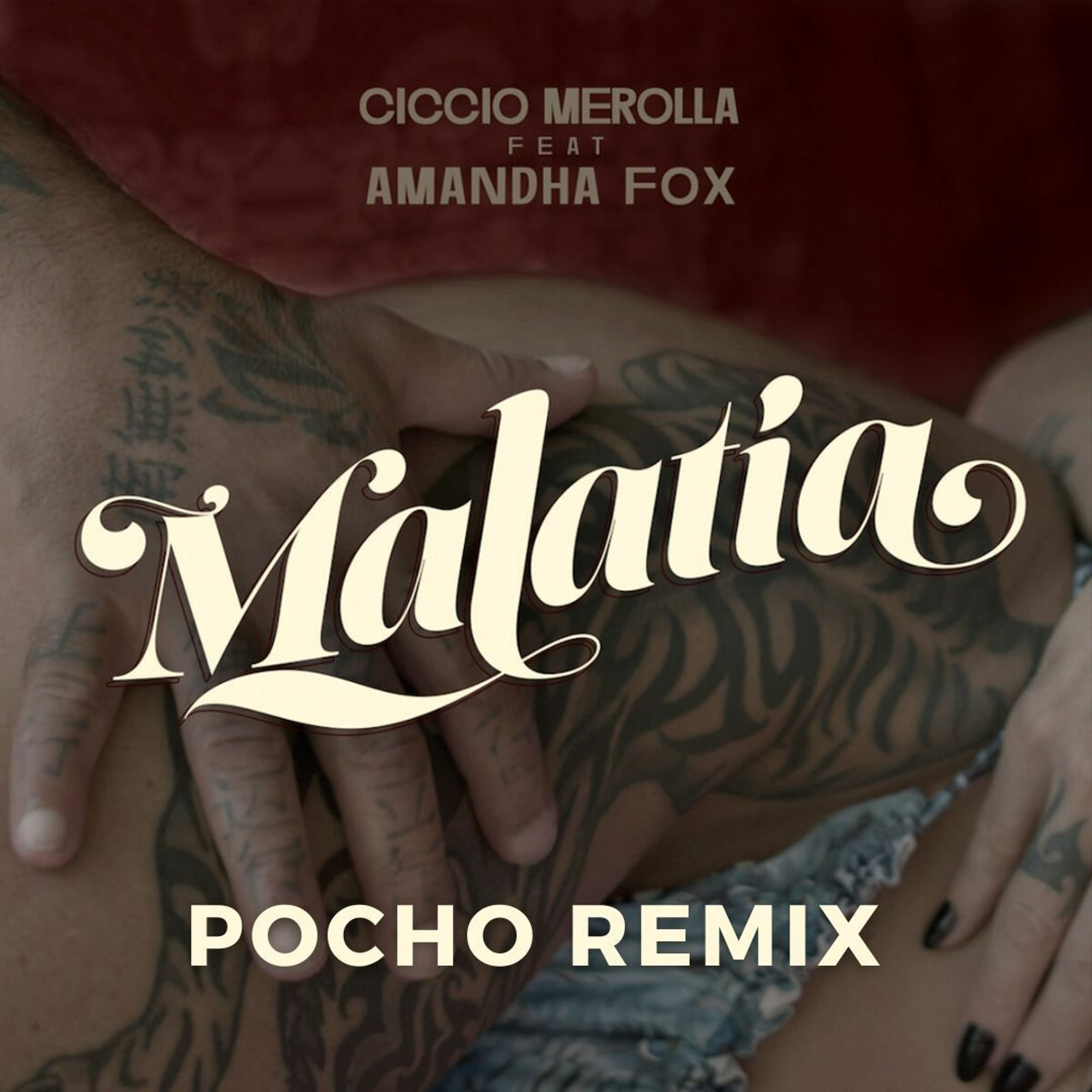 Ciccio Merolla - Malatìa (Pocho Remix)