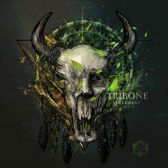 TRIBONE - Dark Lights