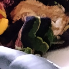 the most broken people are the ones that are gifted