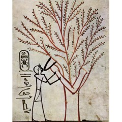 Talking Trees