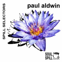 Spill Selectors - Paul Aldwin