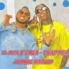 TRAP PEA - El Alfa X Tyga X Justin Quiles X Daddy Yankee X Nfasis (Juankii Mashup)