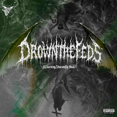 DROWNTHEFEDS - Whirling Storm of Ash