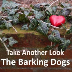 Take Another Look Preformed by The Barking Dogs Band