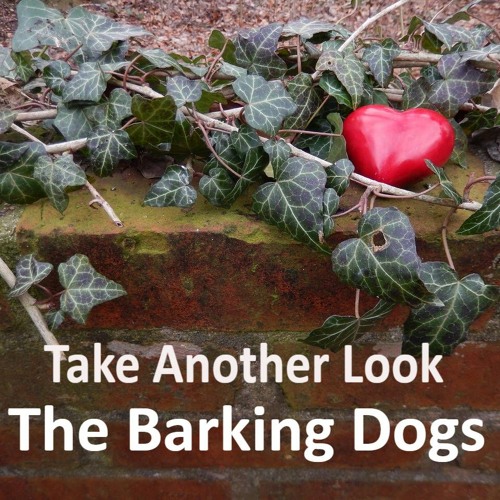 Take Another Look Preformed by The Barking Dogs Band