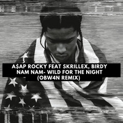 A$AP Rocky feat Skrillex, Birdy Nam Nam - Wild for the Night (Extended OBW4N Remix)🚨FREE DOWNLOAD🚨