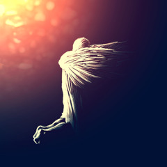 Angelic Announcements for the Ages, Steve Burkett