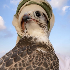 لطير حب مستباح❤️