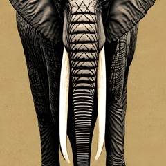 Elephant Ivory