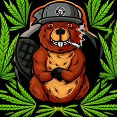 Торопых - Заставка