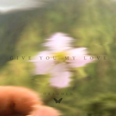 Give You My Love