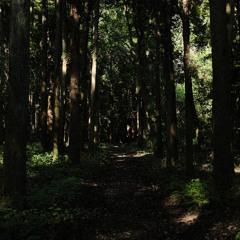 Log_20250717（demo）