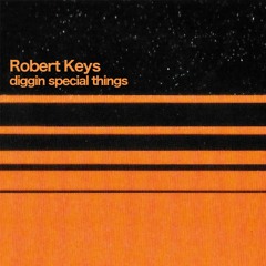 Robert Keys - Diggin Special Things Mix