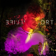 KittyPaw - Life is short