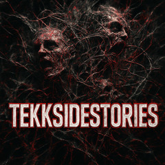 TEKKSIDESTORIES
