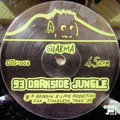 93 Darkside Jungle Mix