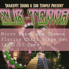 Micro Jaxon (aka Timmus) @ Sub-Terra Festival (Chill Stage 2pm 11.11.23) SnakePit & Flavius