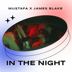 (FREE) james blake x mustafa type beat 2022 "in the night"