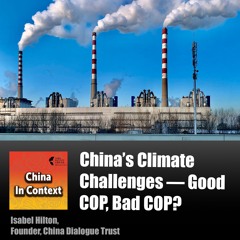Ep182: China and the Climate Crisis — Good COP, Bad COP?