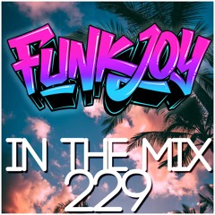 funkjoy - In The Mix 229