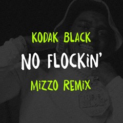 No Flockin' (Mizzo Remix)