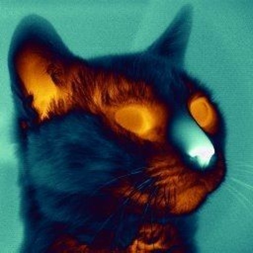 2084 Witchcraft-I WANT U  X Combo Vine (speed up + reverb)