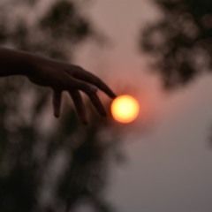 Sun Salutation (excerpt)