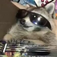 PIMP NAMED LACKTOAST [MAGNOLIA x PIMP NAMED SLICK BACK]