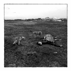 Bronson Arm - S/T - 01 - Pleasure Brea