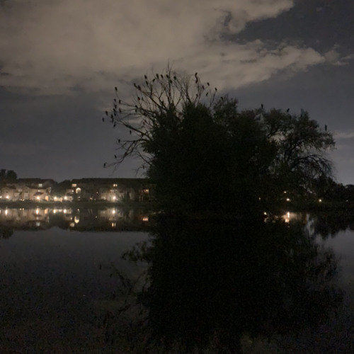 your afraid to dream big