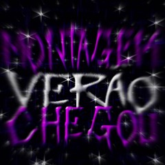 MONTAGEM VERÃO CHEGOU