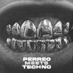 Safaera ~ (Guari Perreo Vs Techno Remix)