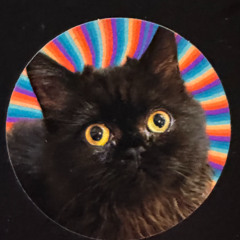 mono.p.oli @ tanze! frapé Aalen 05.12.2025