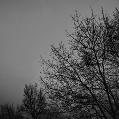 Midnight