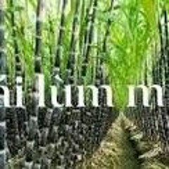 Quá Khứ Ngọt Ngào Remix.mp3