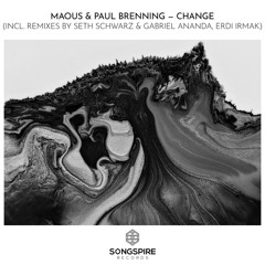 Change (Seth Schwarz & Gabriel Ananda Remix)