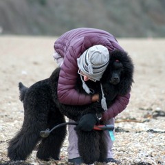 Christmas Cheer Tim Crew and Annabel Backes