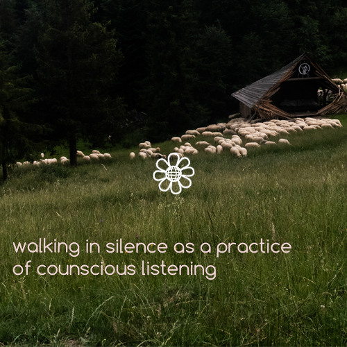 Tom'sKitchen - walking in silence