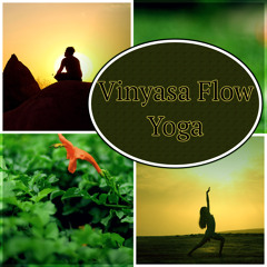 Vinyasa Flow Yoga