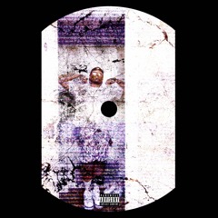 TAMPA PUNK RE$URRECTED [MIXTAPE]