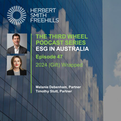 The Third Wheel (ESG Australia) EP47: 2024 (Gift) Wrapped