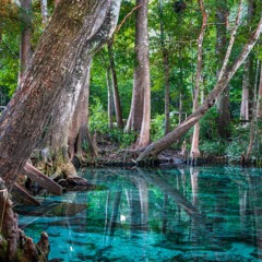 Ginnie springs DJ set