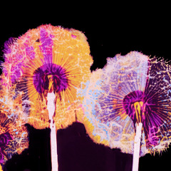 Look Around (Best Friends Club remix) - FREE DL