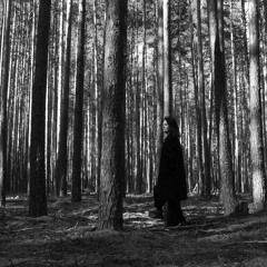 SENSONICA :: Forest Vibe Meditation